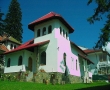 Vila cu Brazi 